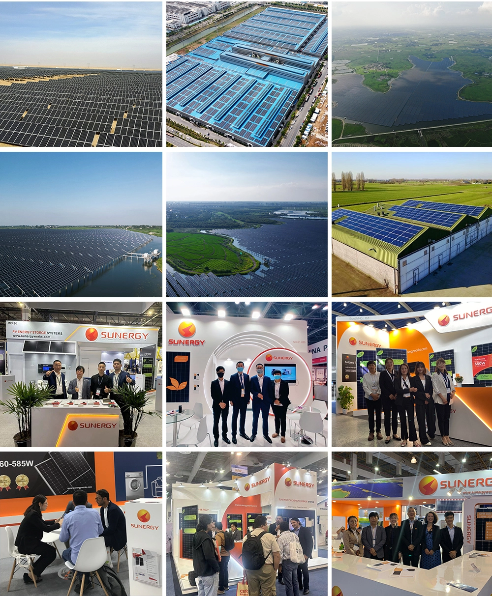 SUNERGY2 du an trien lam