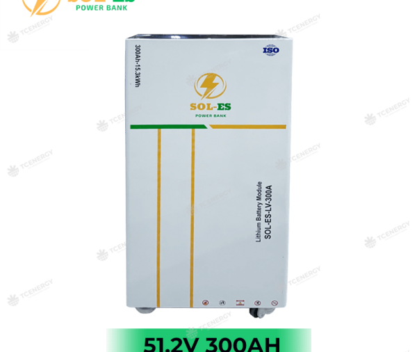 Pin Lưu Trữ Power Bank Battery 15.36Kwh 300AH